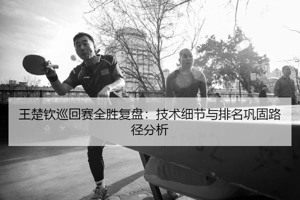 wang-chu-qin-xun-hui-sai-quan-sheng-fu-pan-ji-shu-xi-jie-yu-pai-ming-gong-gu-lu-jing-fen-xi-2-451.jpg